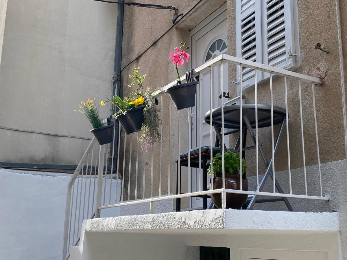 Calla Apartment